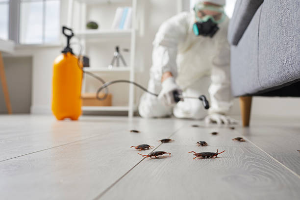 Trusted Fumigation Services service in Brightwood, VA - Nex Pest Control